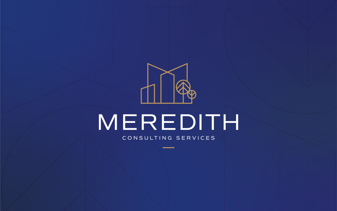 Dave Meredith Consulting – Branding